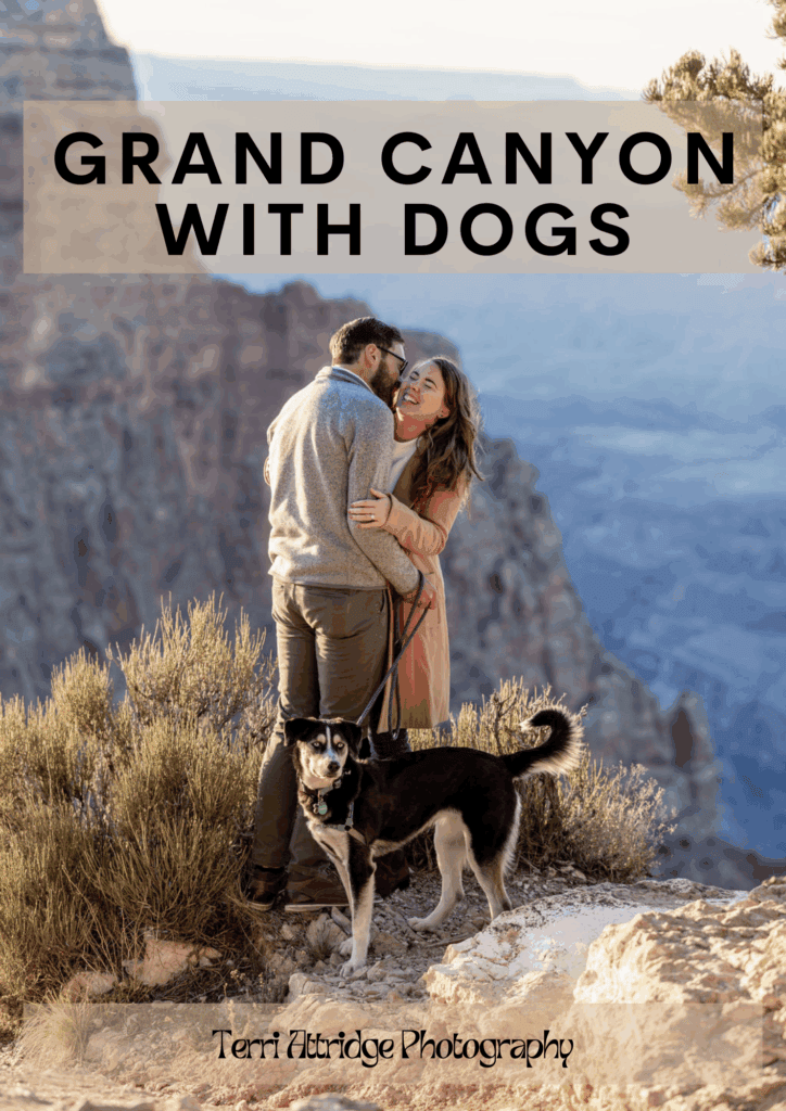 couple embracing with their dog at Grand Canyon