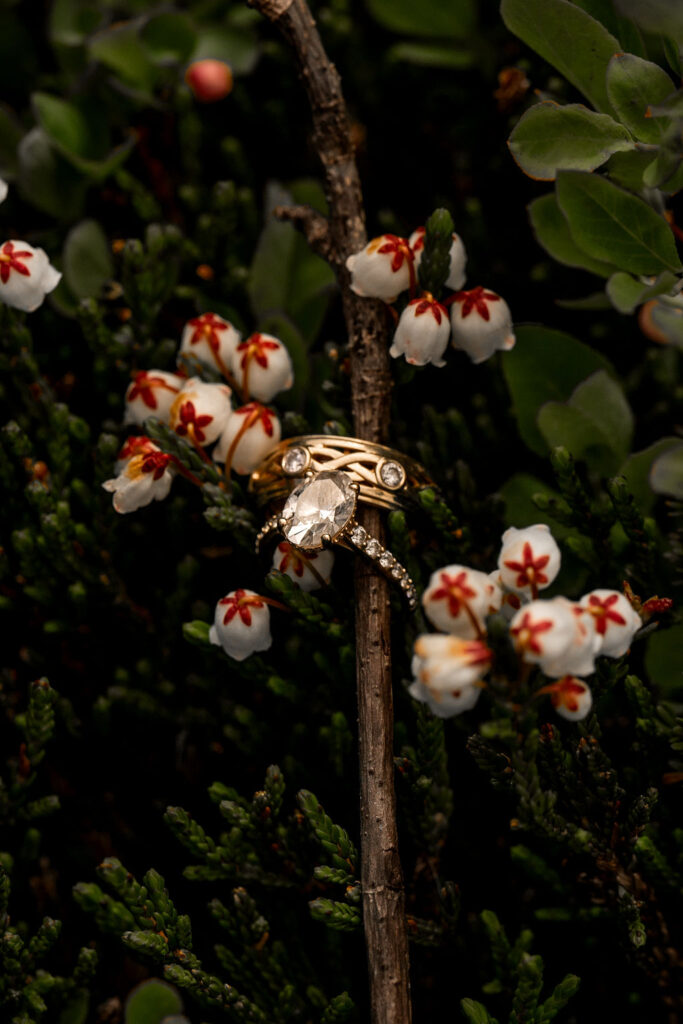 rings placed on branch surrounded by flowers