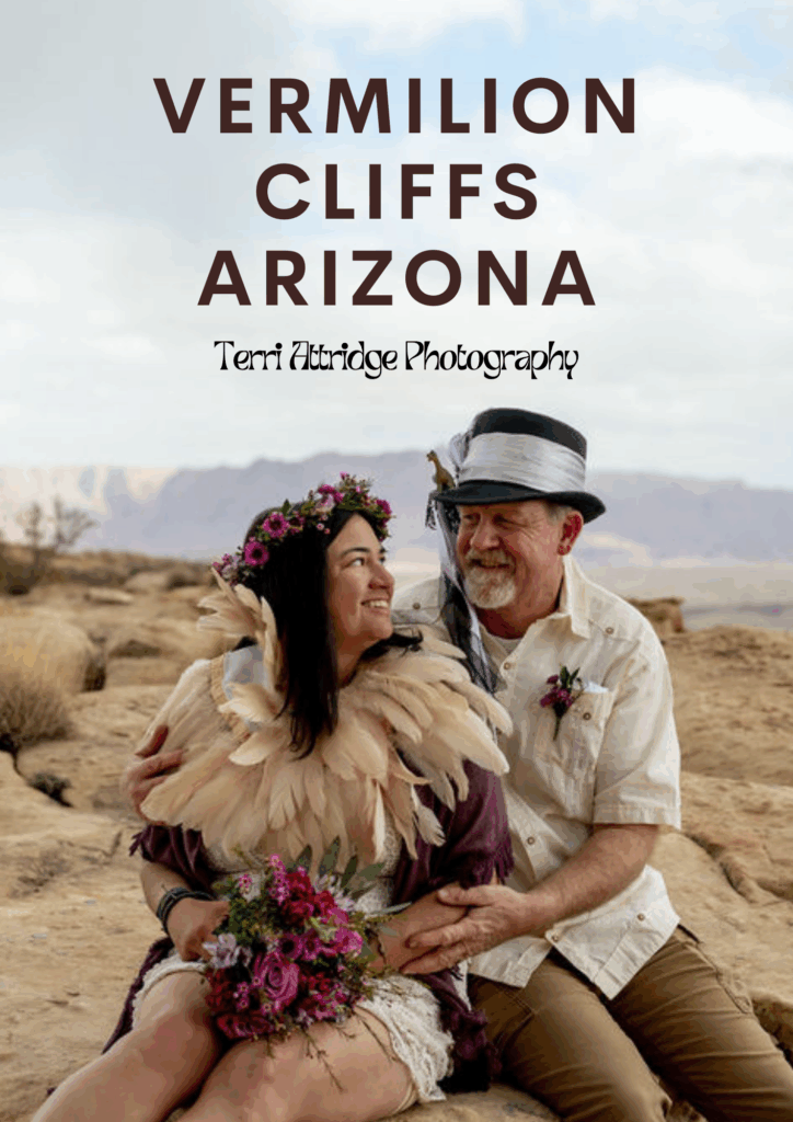 Vermilion Cliffs Arizona