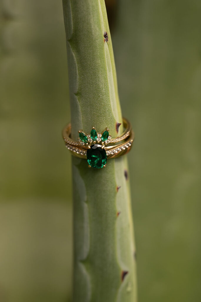 wedding rings on cactus