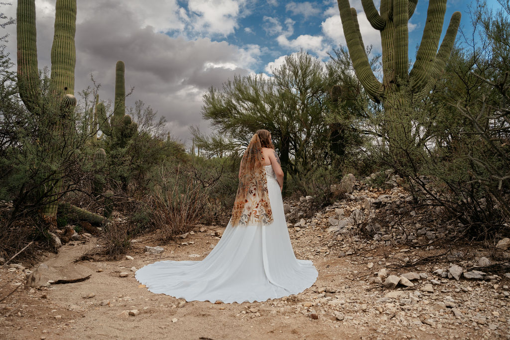 bride overlooks desert landscape