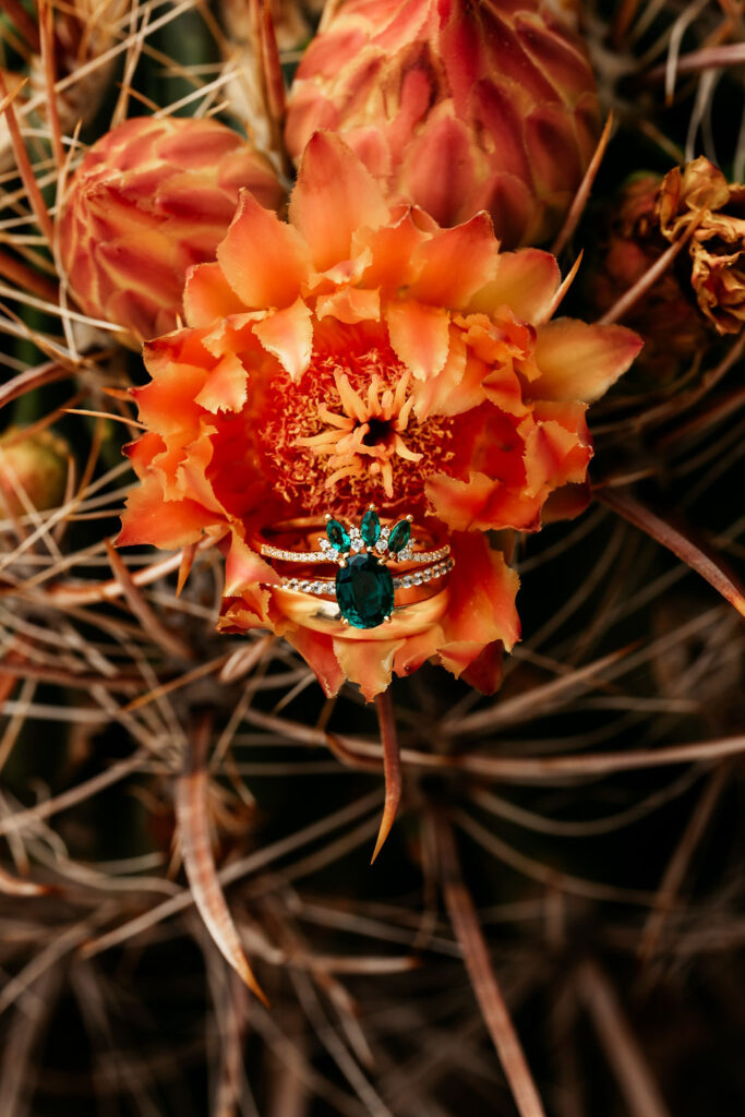 wedding rings on flowers
