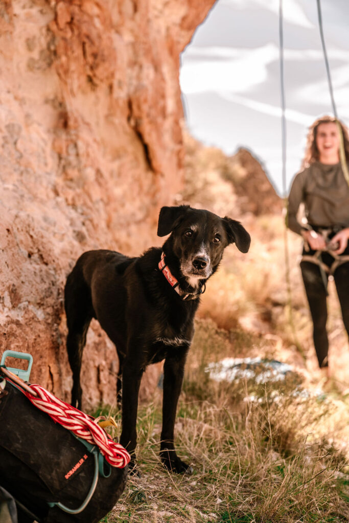 dog and woman standing in front of red rock