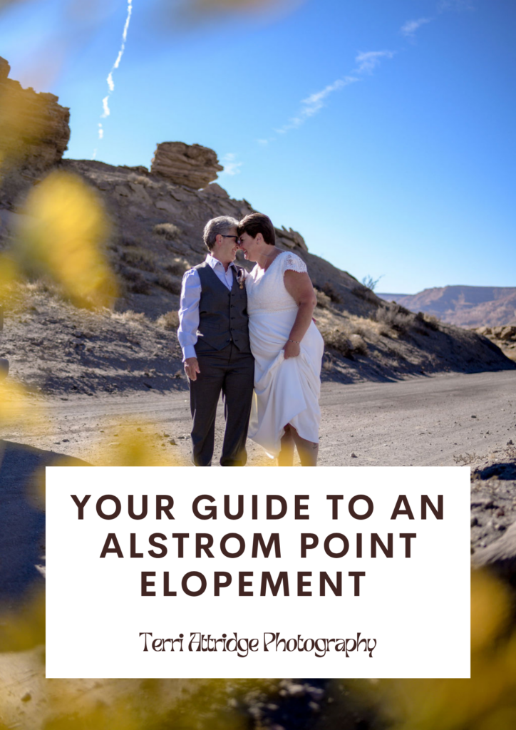 guide to an alstrom point elopement