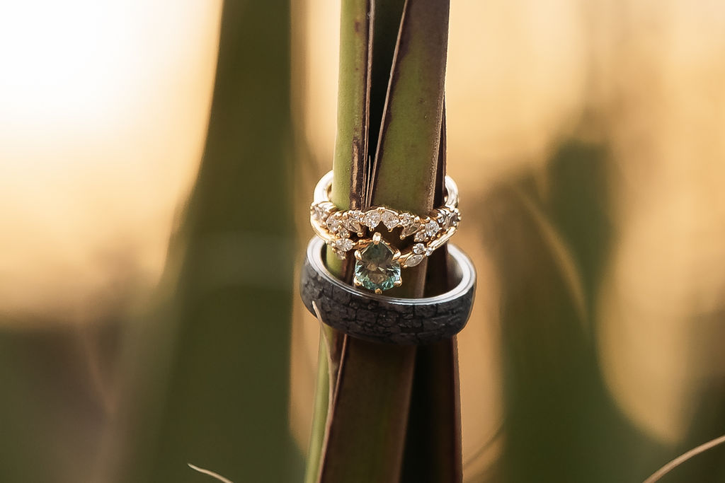 detail shot of rings