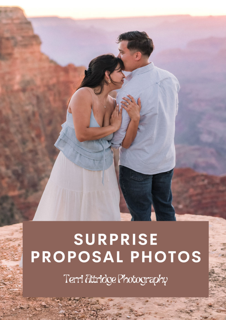 surprise proposal photos