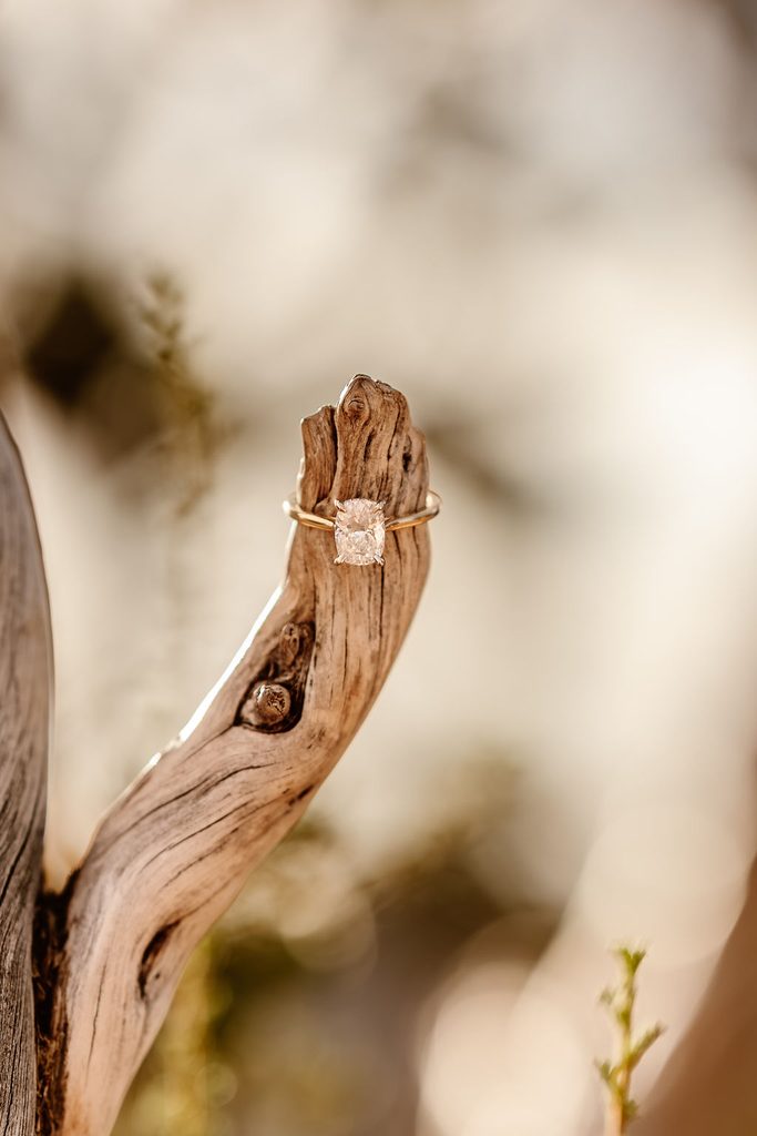 engagement ring on wooden branch